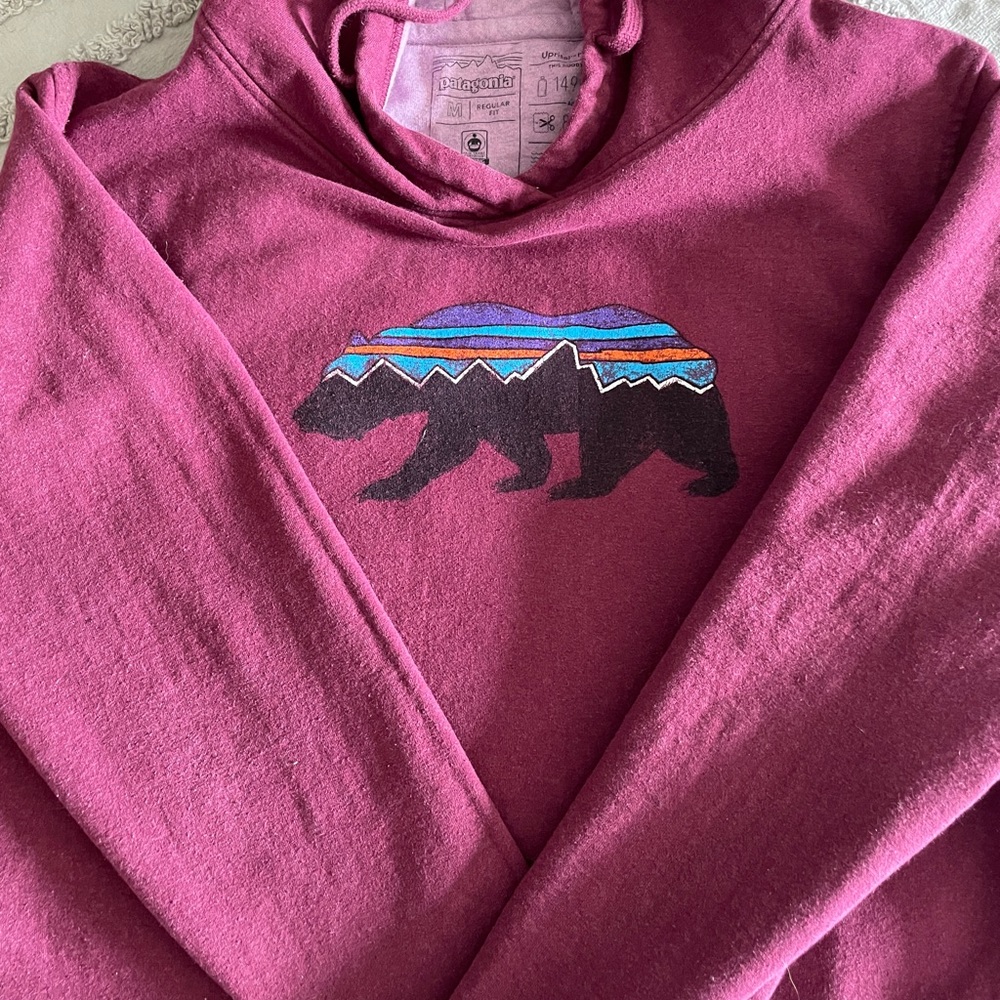 Patagonia hoodie